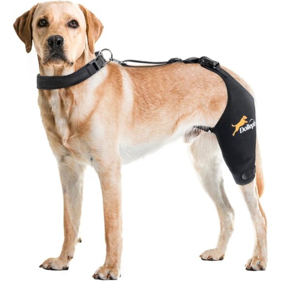 Dollephi Other - Dog Knee‎ Brace for Torn ACL Hind Leg, Hot/Cold Compress for Patella Dislocation